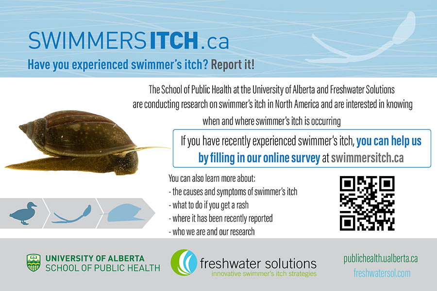 Swimmer's Itch - Report It!